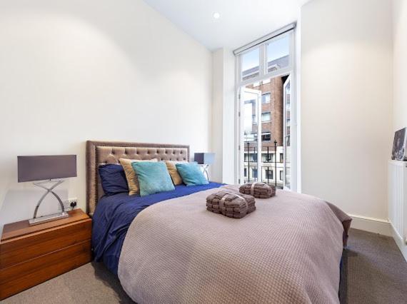 Harley Street Luxury Snug Apartamento Londres